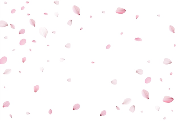 Fundo de vetor de pétalas de cerejeira de pétalas de sakura