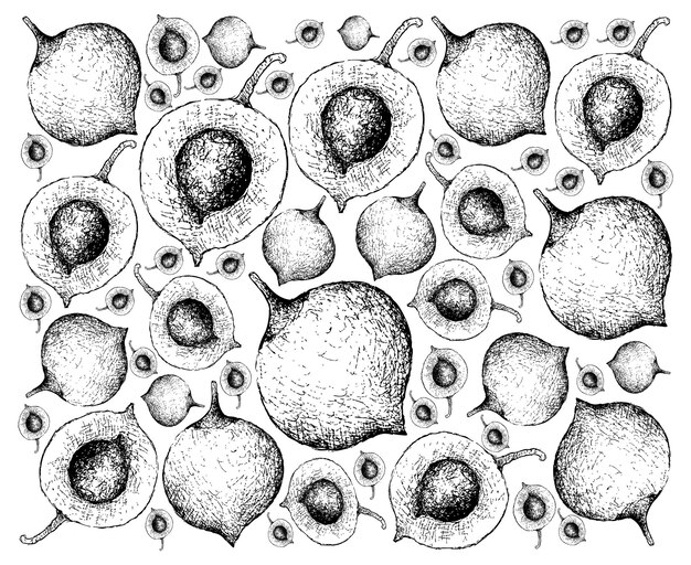 Fundo desenhado à mão de frutos falsos do mangostão