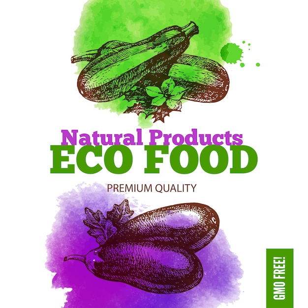 Fundo do menu de comida ecológica. aquarela e vegetais de esboço desenhado de mão. ilustração vetorial