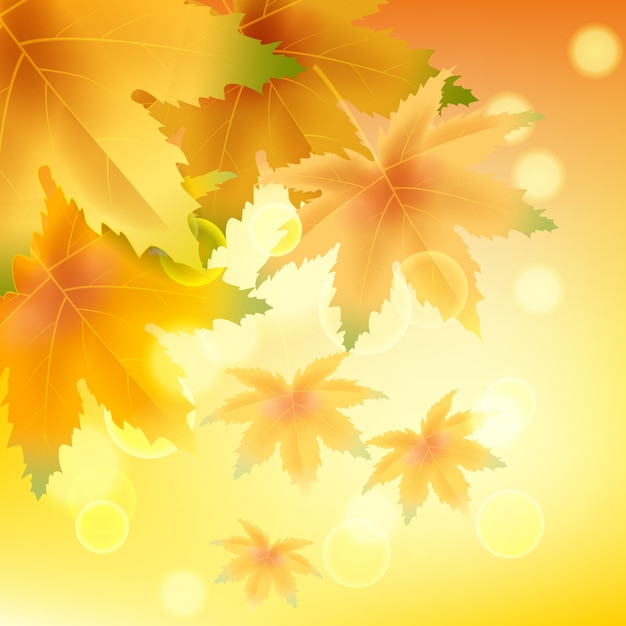 Fundo do modelo das folhas de outono da bandeira folhagem colorida amarela e marrom