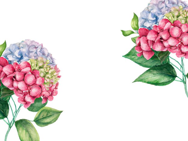 Vetor fundo floral aquarela com flores de hortênsia