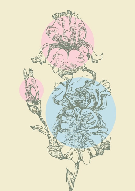 Vetor fundo floral com íris