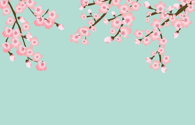 Fundo Floral Japonês Flor De Sakura Floral Abstrato