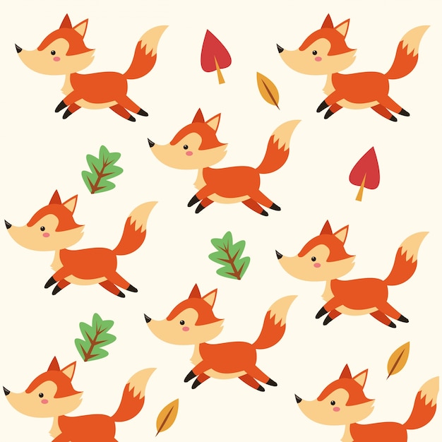 Fundo fox fox