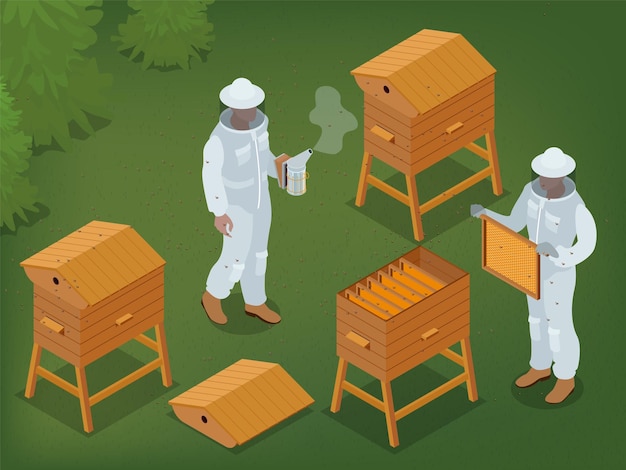 Fundo isométrico de apicultura com dois apicultores em apiário usando fumante e segurando ilustração em vetor 3d de moldura de mel