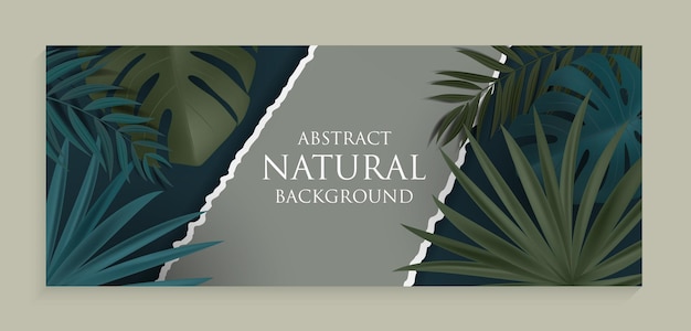 Fundo natural abstrato com palmeira tropical e folhas de monstera