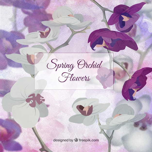 Vetor fundo orquídea lindo primavera