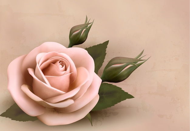 Fundo retrô com linda rosa rosa com botões