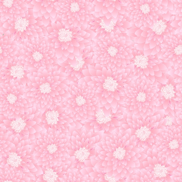 Vetor fundo sem emenda de crisântemo rosa