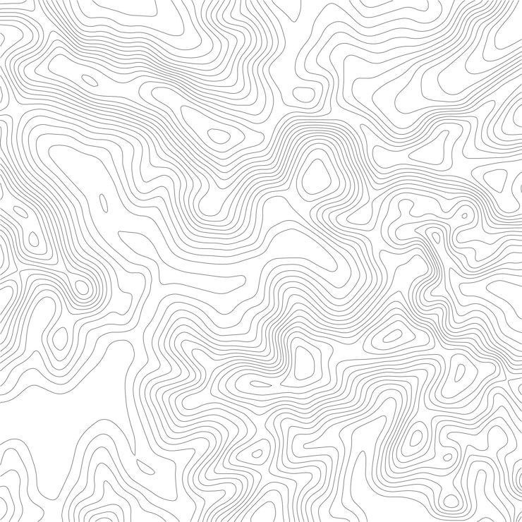 Vetor fundo topográfico do mapa mapa de grade ilustração de contorno vetorial