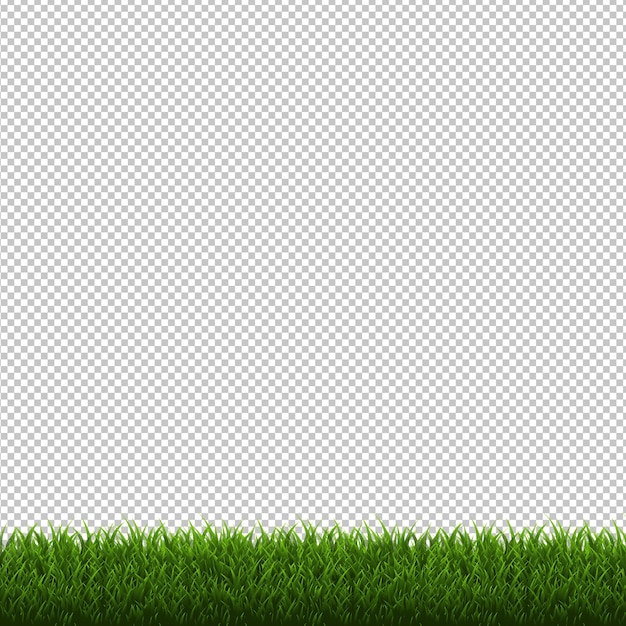 Fundo transparente da borda da grama isolado, ilustração