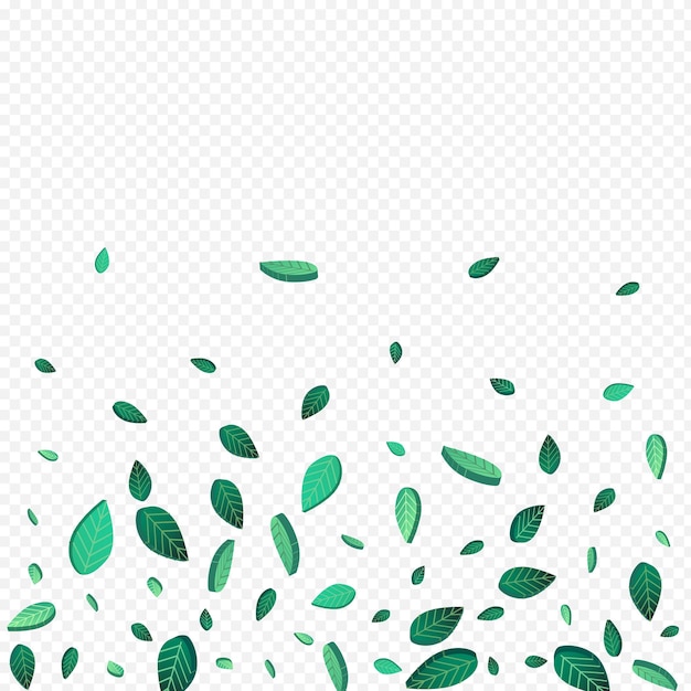 Fundo transparente de vetor fresco de folha de oliveira