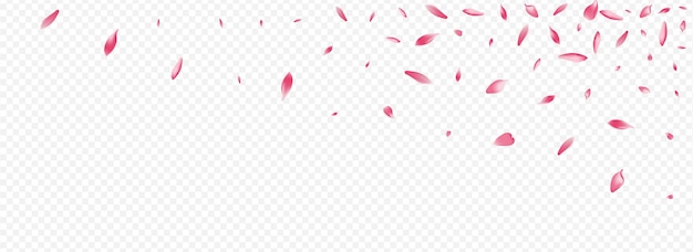 Vetor fundo transparente panorâmico do vetor do pêssego rosa. flower feminine design. cartão realista de flor. modelo isolado de lótus. pano de fundo gráfico branco da apple.