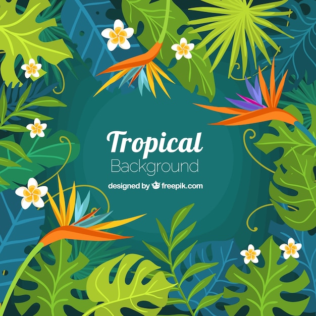 Fundo tropical colorido com design plano