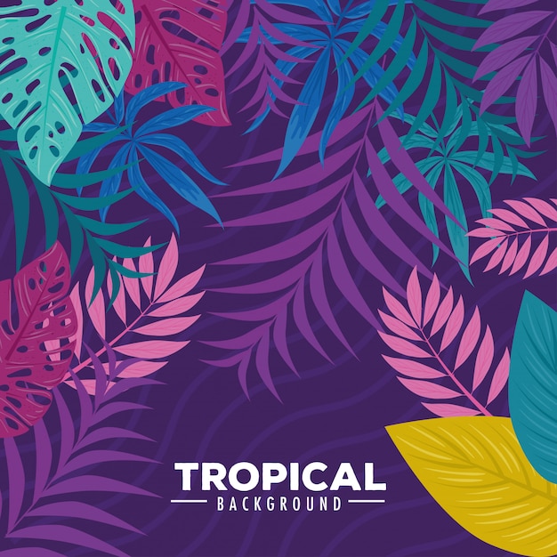 Fundo tropical com galhos e folhas de plantas