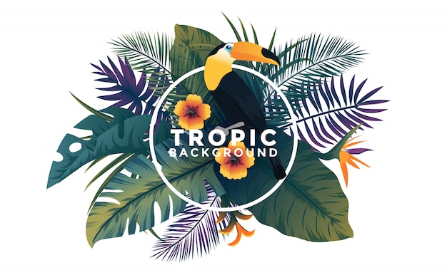 Fundo tropical com moldura - pássaros e plantas