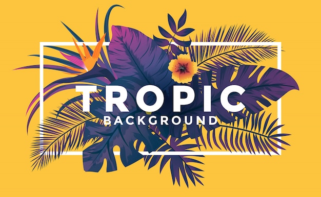 Vetor fundo tropical com moldura