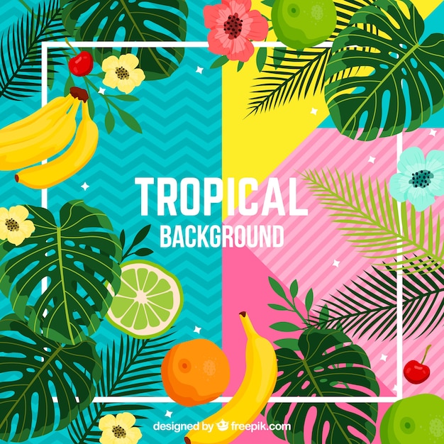 Vetor fundo tropical com plantas e frutas