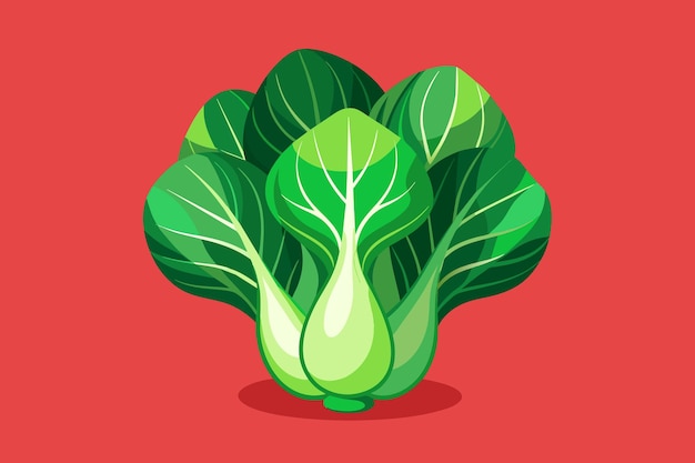 Vetor fundo vegetal de bok choy