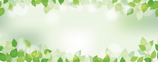 Vetor fundo verde fresco aquarela sem costura com espaço de texto, ilustração vetorial. imagem ambientalmente consciente com plantas e luz solar. repetível horizontalmente.