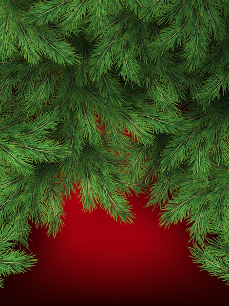 Fundo vermelho com galhos de árvores de natal. modelo de natal festivo do ramo verde de pinheiro.