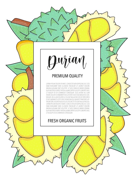Fundo vetorial com durian inteiro e peças design de cartão com frutas