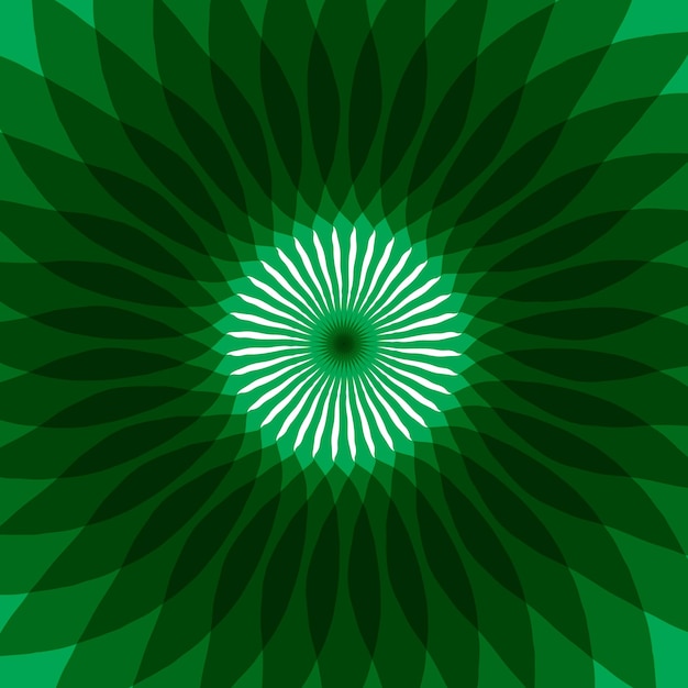 Fundo vetorial de Sunburst verde e branco