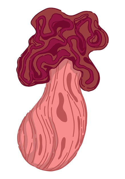 Fungo de cogumelo venenoso em estilo abstrato único clipart moderno isolado no fundo branco ilustração vetorial contemporânea