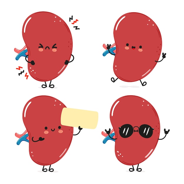 Funny organ spleen characters bundle set (conjunto de personagens engraçados do órgão do baço)