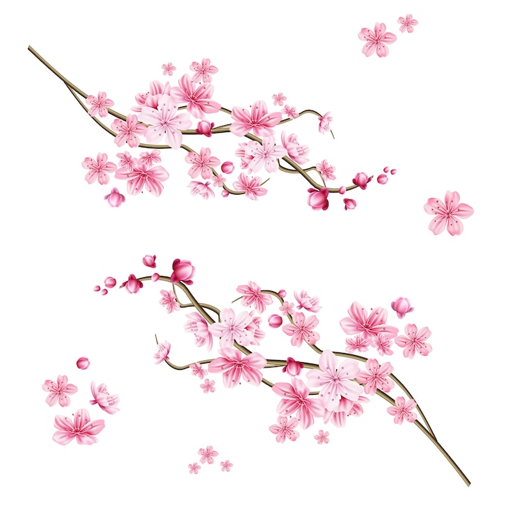 Vetor galho de árvore de sakura realista. símbolo japonês elegante. galho de planta florescendo com pétalas de flores cor de rosa. símbolo cultural asiático. decoração de design floral primavera.