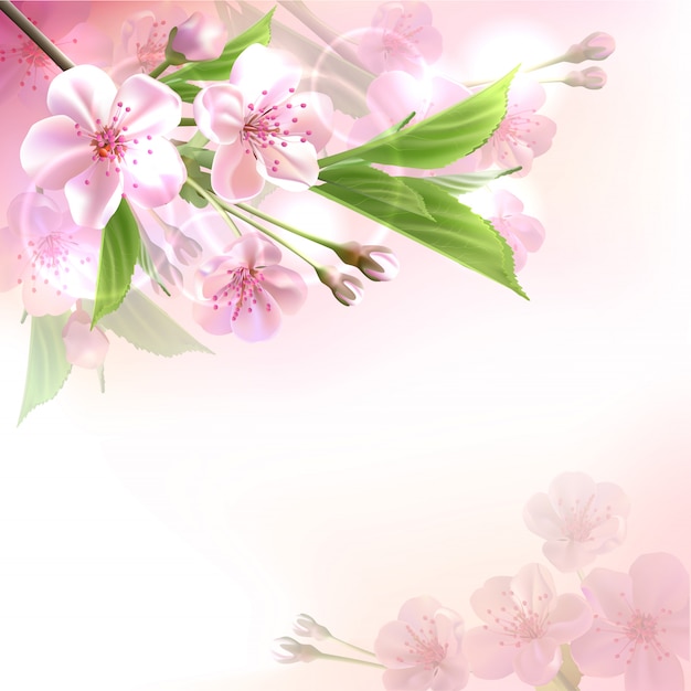 Galho de árvore florescendo com flores cor de rosa