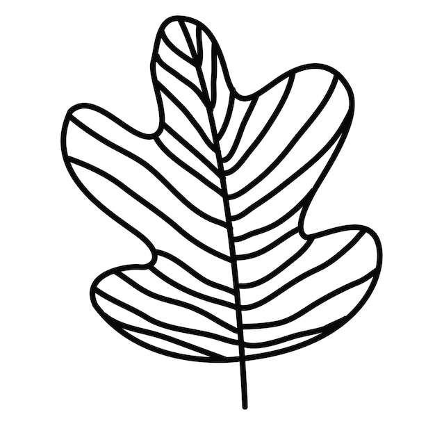 Galhos decorativos de plantas com folhas desenhadas com linhas no estilo da arte de linha isolada em um branco