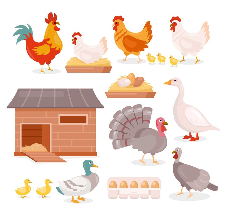 Vetor galinha e galo com pintinhos, peru, ganso e pato com patinhos, aves domésticas