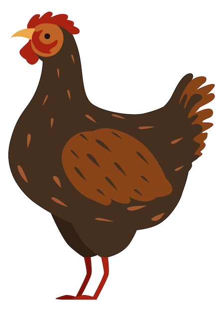 Galo animal fofo Ícone de pássaro de galinha de fazenda