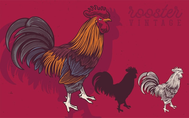 Galo e galinha desenhados à mão ilustração vintage galo produz rótulo para fazenda de negócios e manufatura
