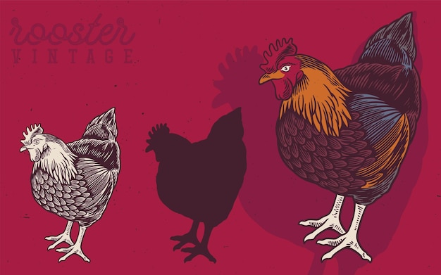 Vetor galo e galinha desenhados à mão ilustração vintage galo produz rótulo para fazenda de negócios e manufatura