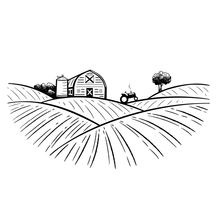 Galpão do armazém da fazenda entre os campos Agricultura gravura agronegócio e produtos orgânicos