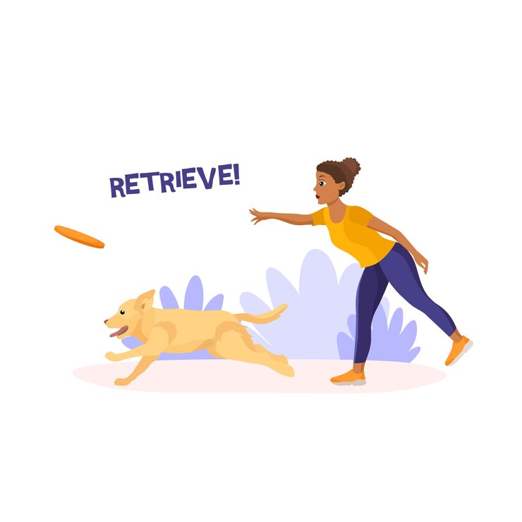 Vetor garota de pele escura treinando labrador retriever no comando recuperar do parque