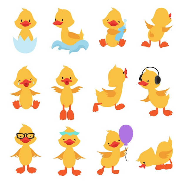 Garotas bonitas. desenhos animados patos amarelos. conjunto de vetores de pato bebê