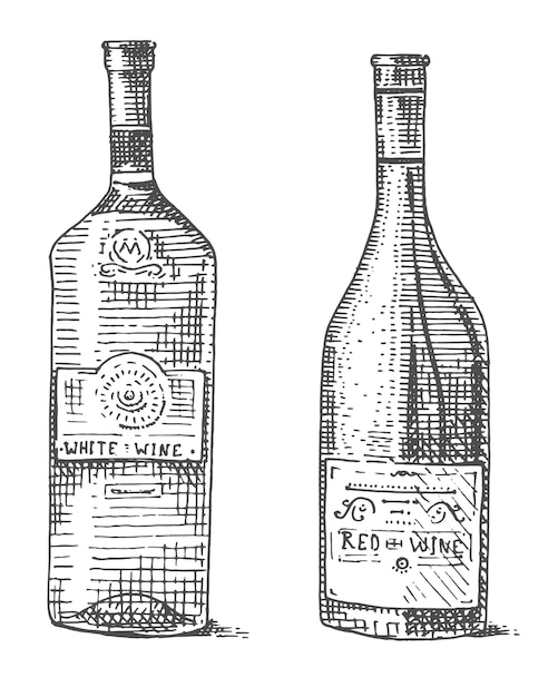 Vetor garrafa de vinho desenhada à mão gravada com aparência antiga ilustração vintage