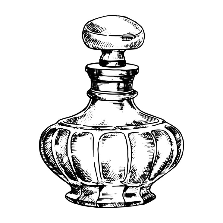 Vetor garrafas com desenho vetorial de perfume em estilo esboço vintage