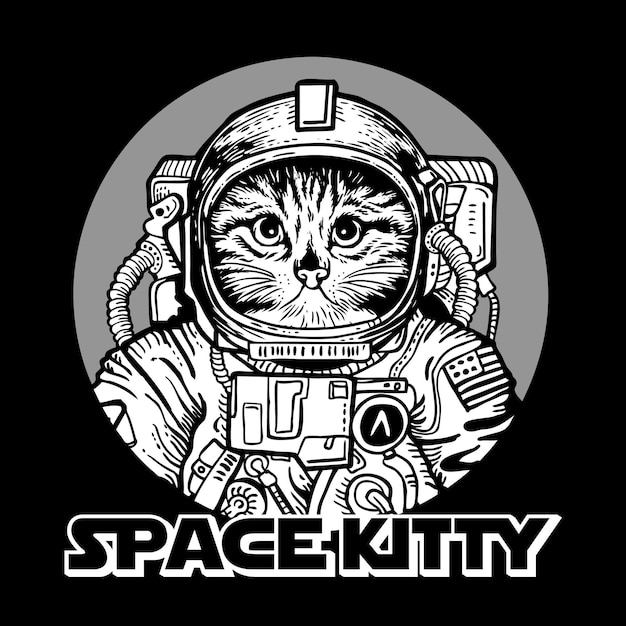 Gatinho gato espacial