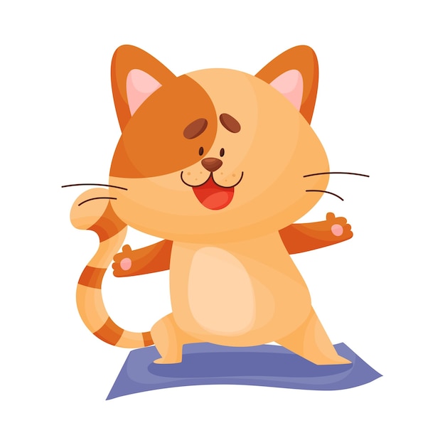 Vetor gatinho laranja bonito de desenho animado agachado em uma perna e a outra estendida para os lados asana yoga vista frontal ilustração vetorial