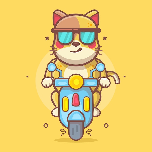 Gato animal personagem mascote montando scooter motocicleta desenho animado isolado