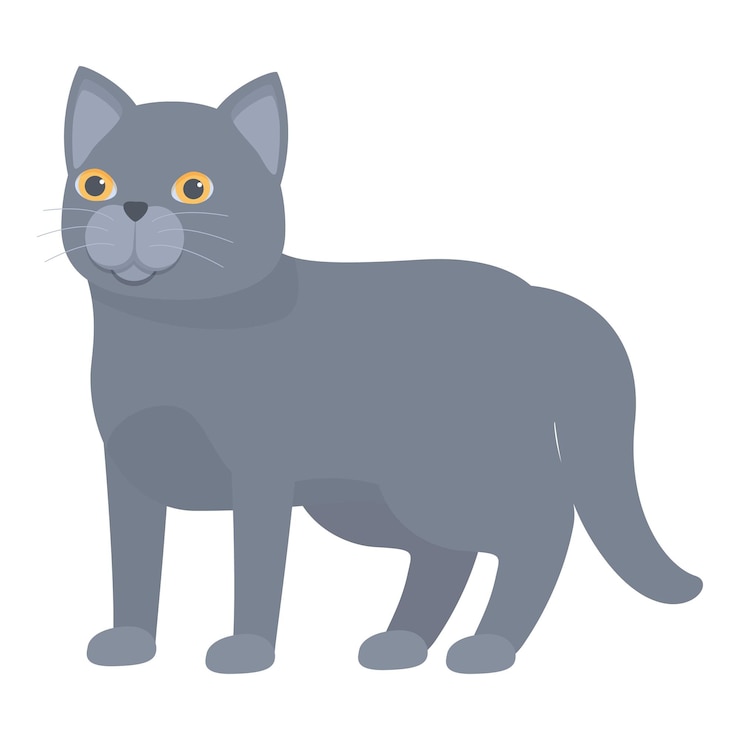 Vetor gato azul russo de pé olhando curioso