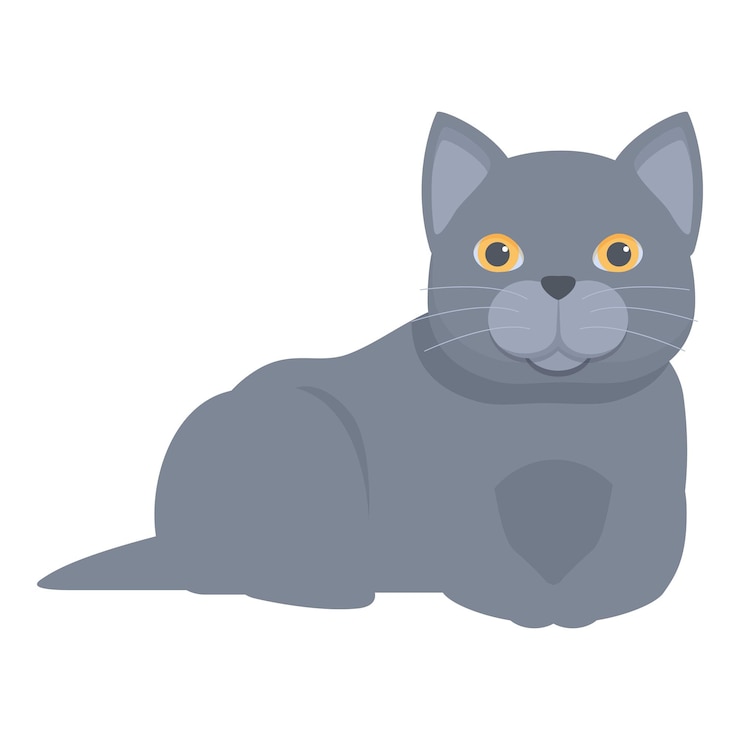 Vetor gato britânico de pelo curto cinzento relaxando em fundo branco