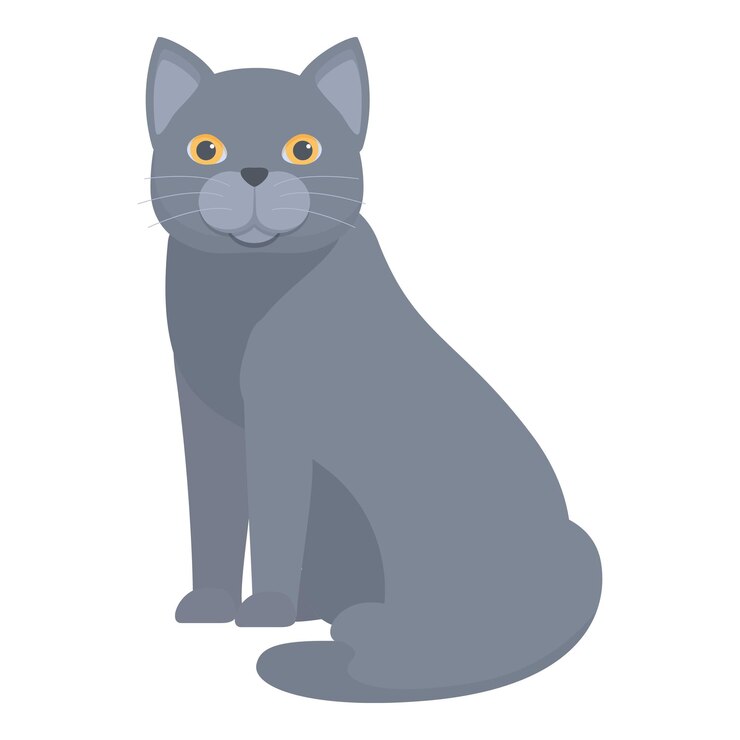 Vetor gato cinzento sentado e olhando para a frente ilustração