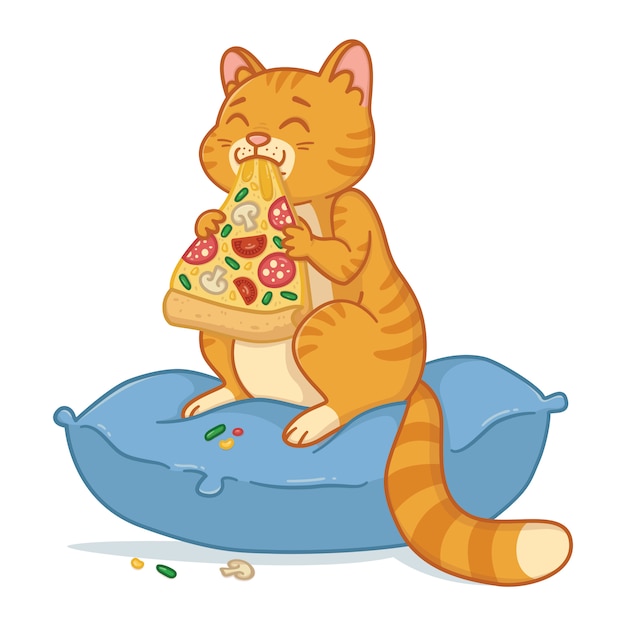 Gato com uma fatia de pizza.