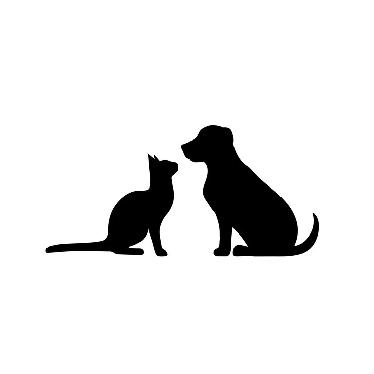 Vetor gato e cão silhueta de gato e cão