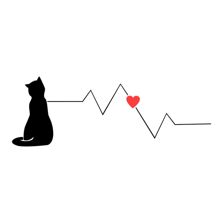 Vetor gato e coração